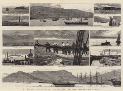 A Voyage from England to Natal in the Union Steam-Ship Arab by Joseph Nash